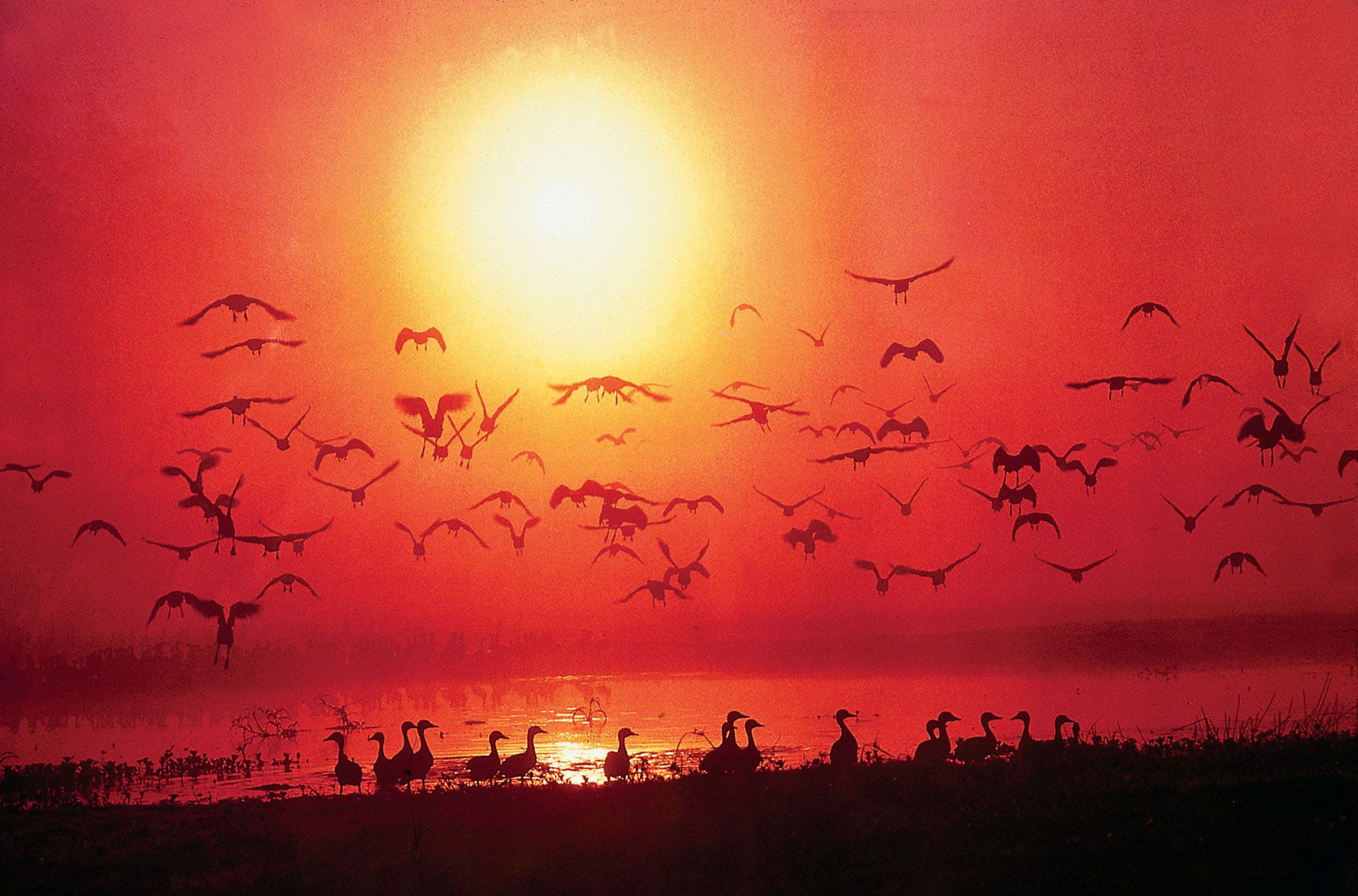 Ancona ACT Kalgoorlie Accommodation