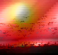 Airport Tavern - Darwin International Airport - Kalgoorlie Accommodation