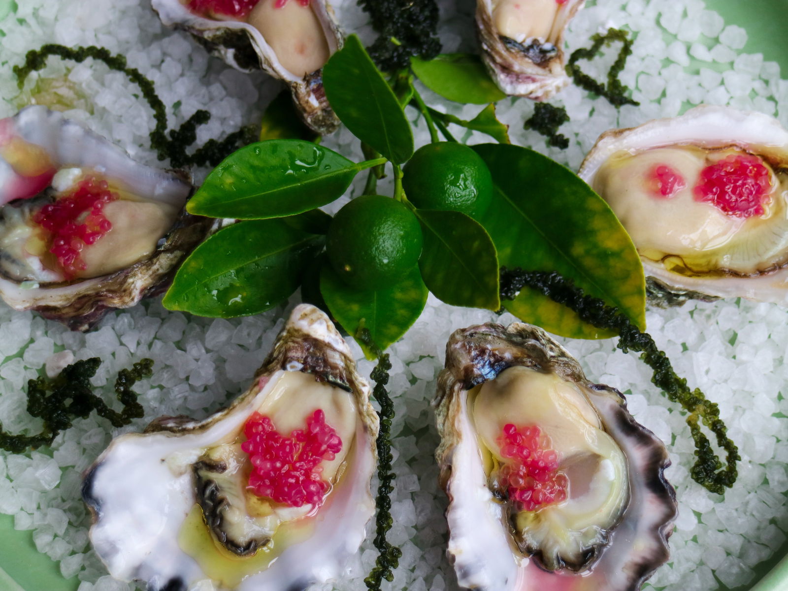 Gerringong NSW Kalgoorlie Accommodation