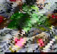 Bella Char Restaurant  Wine Bar - Kalgoorlie Accommodation