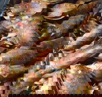 Pacific Eats - Kalgoorlie Accommodation