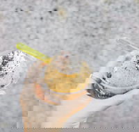 Mount Dandenong Hotel - Kalgoorlie Accommodation