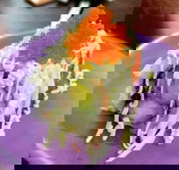 Oishi Ya - Kalgoorlie Accommodation