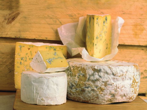 Cheese Shop At Makers' Workshop Burnie - The - Kalgoorlie Accommodation 1