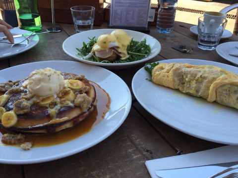 Shaggy Cow - Kalgoorlie Accommodation 0
