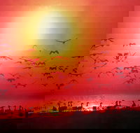 Fannie Bay Super Pizza - Kalgoorlie Accommodation