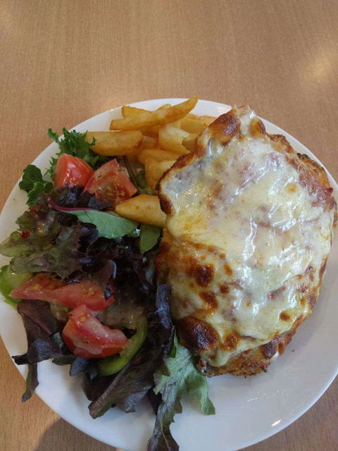 Harlow - Kalgoorlie Accommodation 0