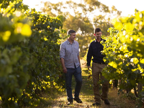 Patrick Of Coonawarra - Kalgoorlie Accommodation 1