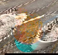 Blue Door - Kalgoorlie Accommodation