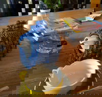 Espressohead - Kalgoorlie Accommodation