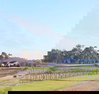 Blacklea Vineyard and Olive Grove - Kalgoorlie Accommodation