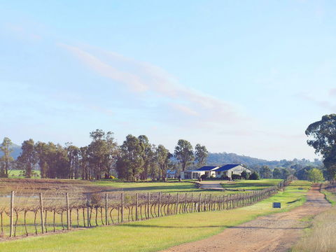 Blacklea Vineyard And Olive Grove - Kalgoorlie Accommodation 0