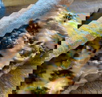 Philly Up - Kalgoorlie Accommodation