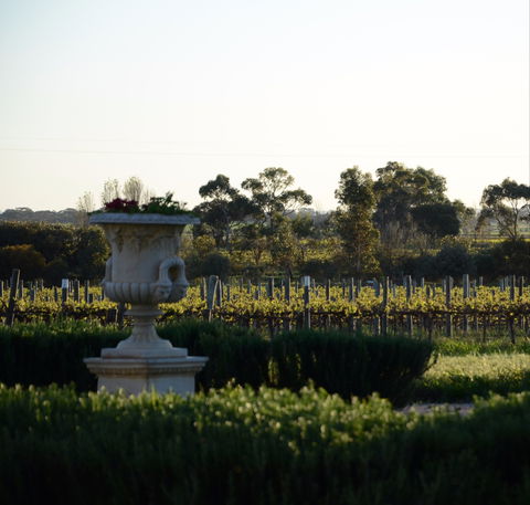 Angas Plains Wines Cellar Door - Kalgoorlie Accommodation 1