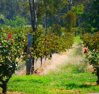 The Red Apron Gourmet Kitchen - Kalgoorlie Accommodation