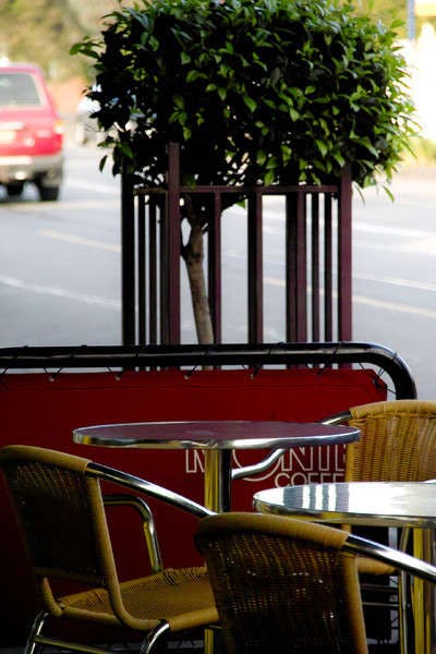 Taco Bill - Malvern East - Kalgoorlie Accommodation 0