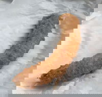 Blue Ocean - Kalgoorlie Accommodation