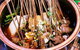 Sichuan Gourmet - thumb 0