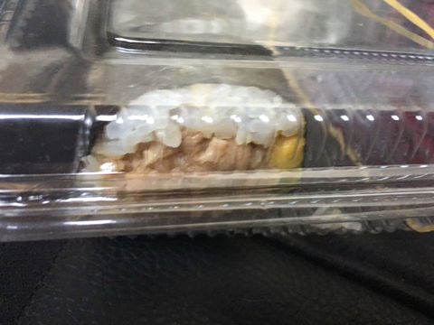 Asahi Sushi - Kalgoorlie Accommodation 0