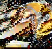 Cafe 3847 - Kalgoorlie Accommodation