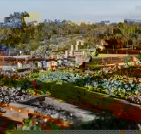 Homage - Kalgoorlie Accommodation