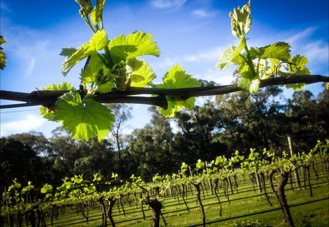 Michael Unwin Wines - Kalgoorlie Accommodation 1