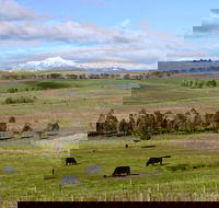 Delatite Winery - Kalgoorlie Accommodation