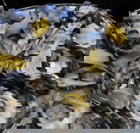 View 42o - Kalgoorlie Accommodation