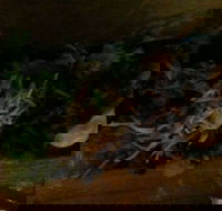 O Sushi - Kalgoorlie Accommodation