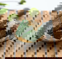 Shiki Japanese Restaurant - Kalgoorlie Accommodation