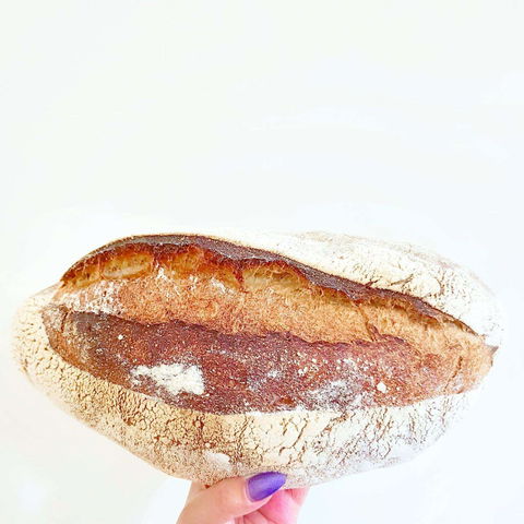 Dolcettini - Castle Hill - Kalgoorlie Accommodation 0