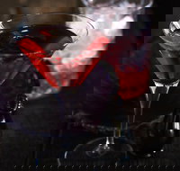 Junk Lounge - Kalgoorlie Accommodation