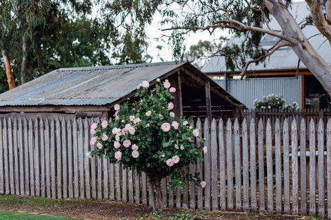 Penny's Hill Winery - Kalgoorlie Accommodation 2