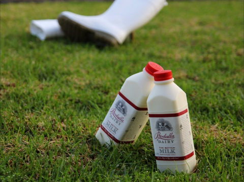 Bodalla Dairy - Cheese, Milk And Ice Cream Factory And Cafe - Kalgoorlie Accommodation 0