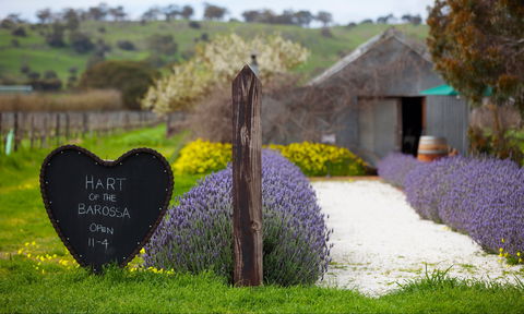 Hart Of The Barossa - Kalgoorlie Accommodation 0