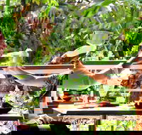 Jaques Coffee Plantation - Kalgoorlie Accommodation