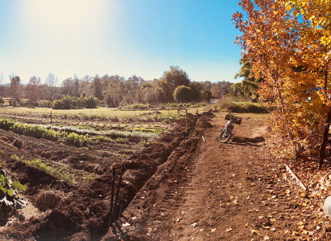 Synchronicity Farm - Kalgoorlie Accommodation 1