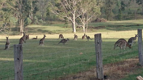 Mistletoe Winery - Kalgoorlie Accommodation 1
