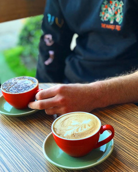 The Mango Tree - Kalgoorlie Accommodation 0