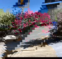 Alpine Gate Cafe - Kalgoorlie Accommodation