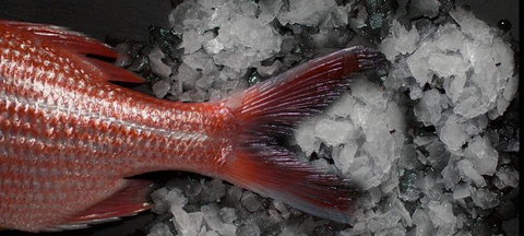 Collins Kitchen - Kalgoorlie Accommodation 2