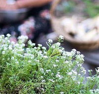 Harvest - Kalgoorlie Accommodation