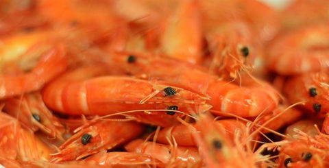 Wheelers Seafood Restaurant - Kalgoorlie Accommodation 27