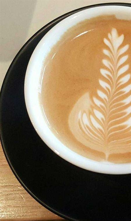 Attaboy Roy - Kalgoorlie Accommodation 4