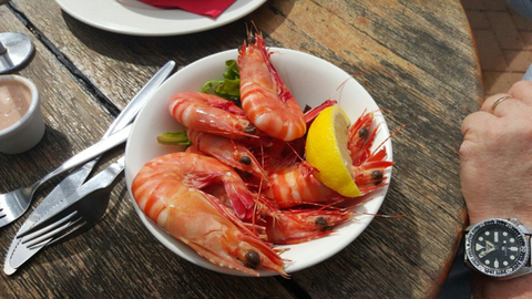 The Marlin Bar - Kalgoorlie Accommodation 2