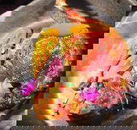 The Petit Snail - Kalgoorlie Accommodation