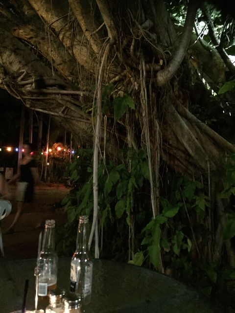 Big Fig Bistro - Kalgoorlie Accommodation 12