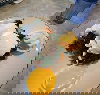 Machine Laundry Cafe - Kalgoorlie Accommodation