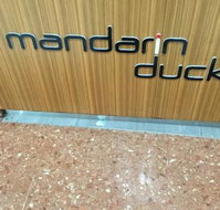 Mandarin Duck - Kalgoorlie Accommodation