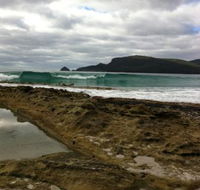 Bruny Island Berry Farm - Kalgoorlie Accommodation
